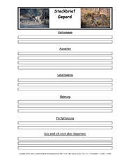 Gepard-Tiersteckbriefvorlage.pdf